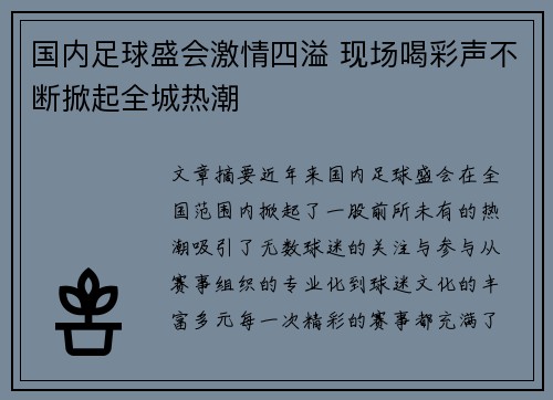 国内足球盛会激情四溢 现场喝彩声不断掀起全城热潮